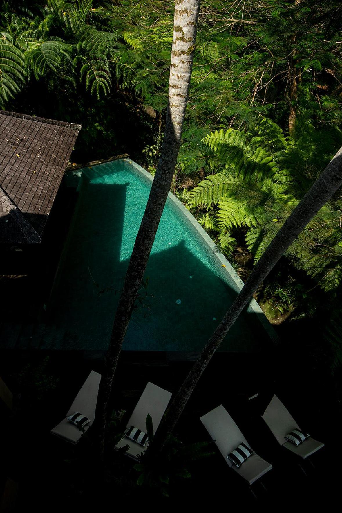 Naga Putih Ubud (Bali)