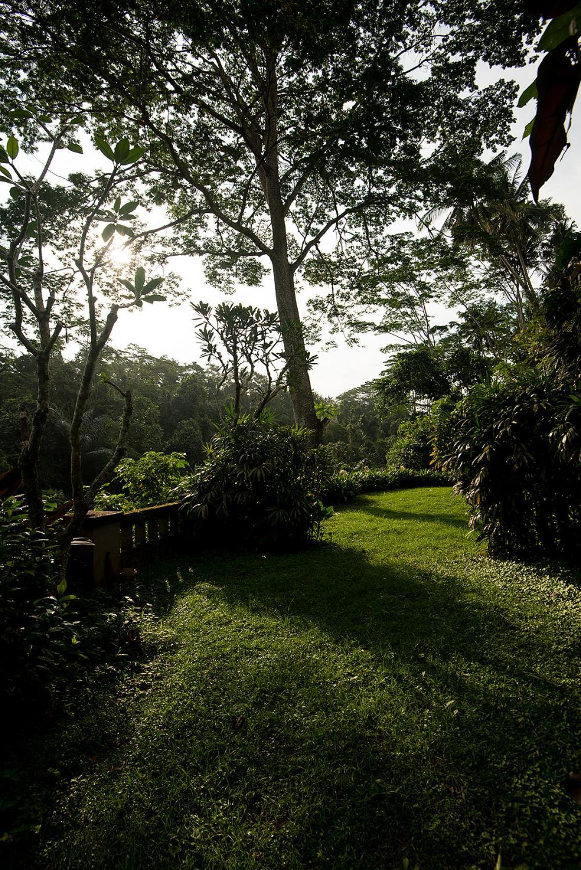 Vila Naga Putih *