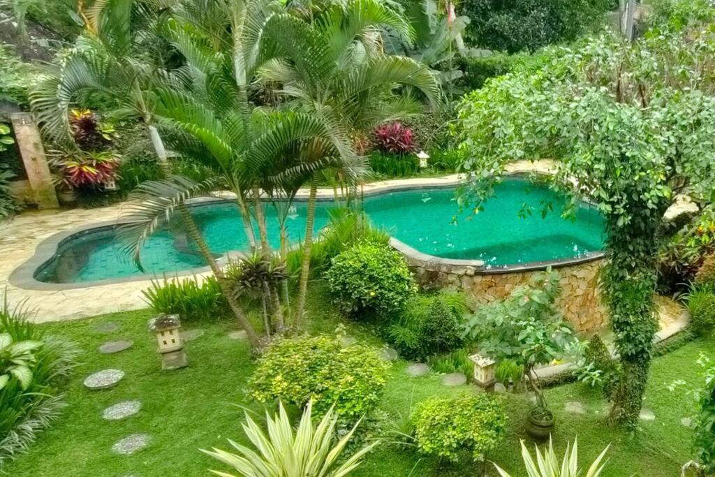 Apartment 5br Tropical Private Pool Cyn Ubud (Bali)