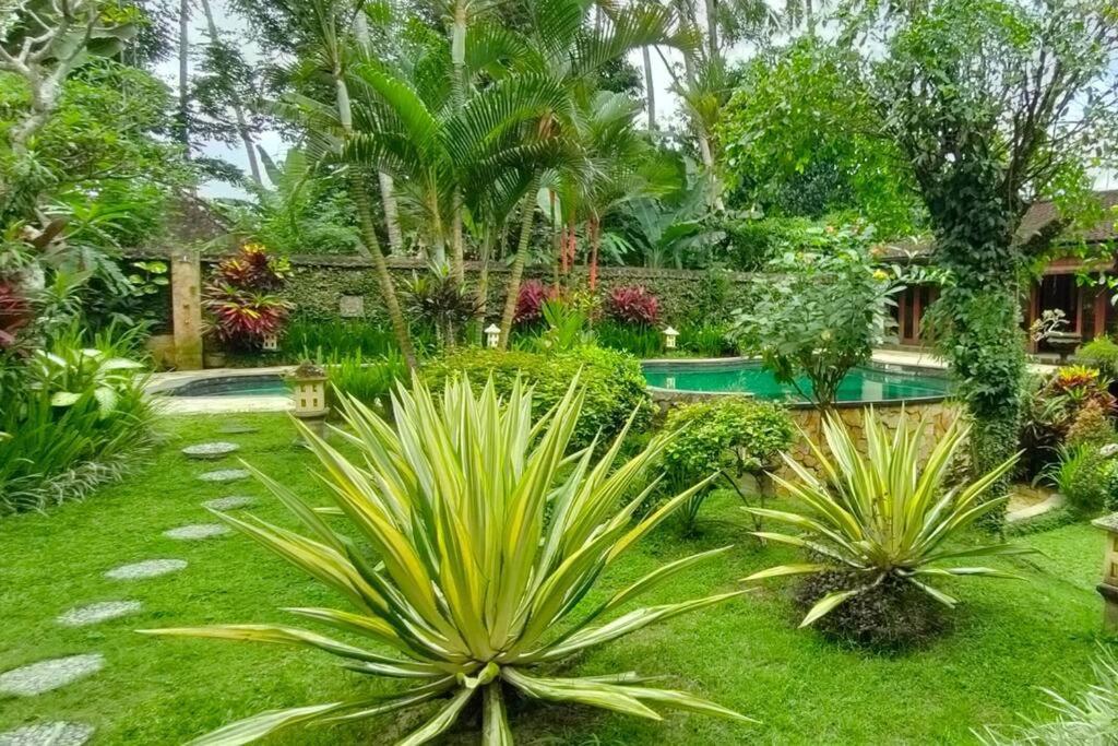 Apartment 5br Tropical Private Pool Cyn Ubud (Bali)