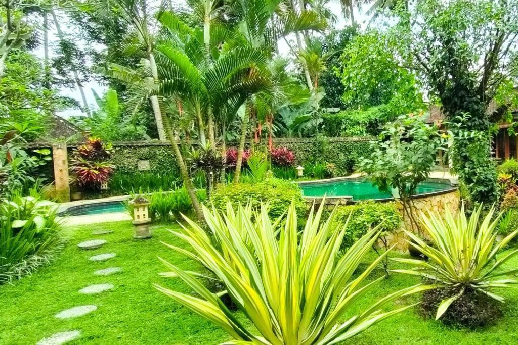 5br Tropical Private Pool Cyn *