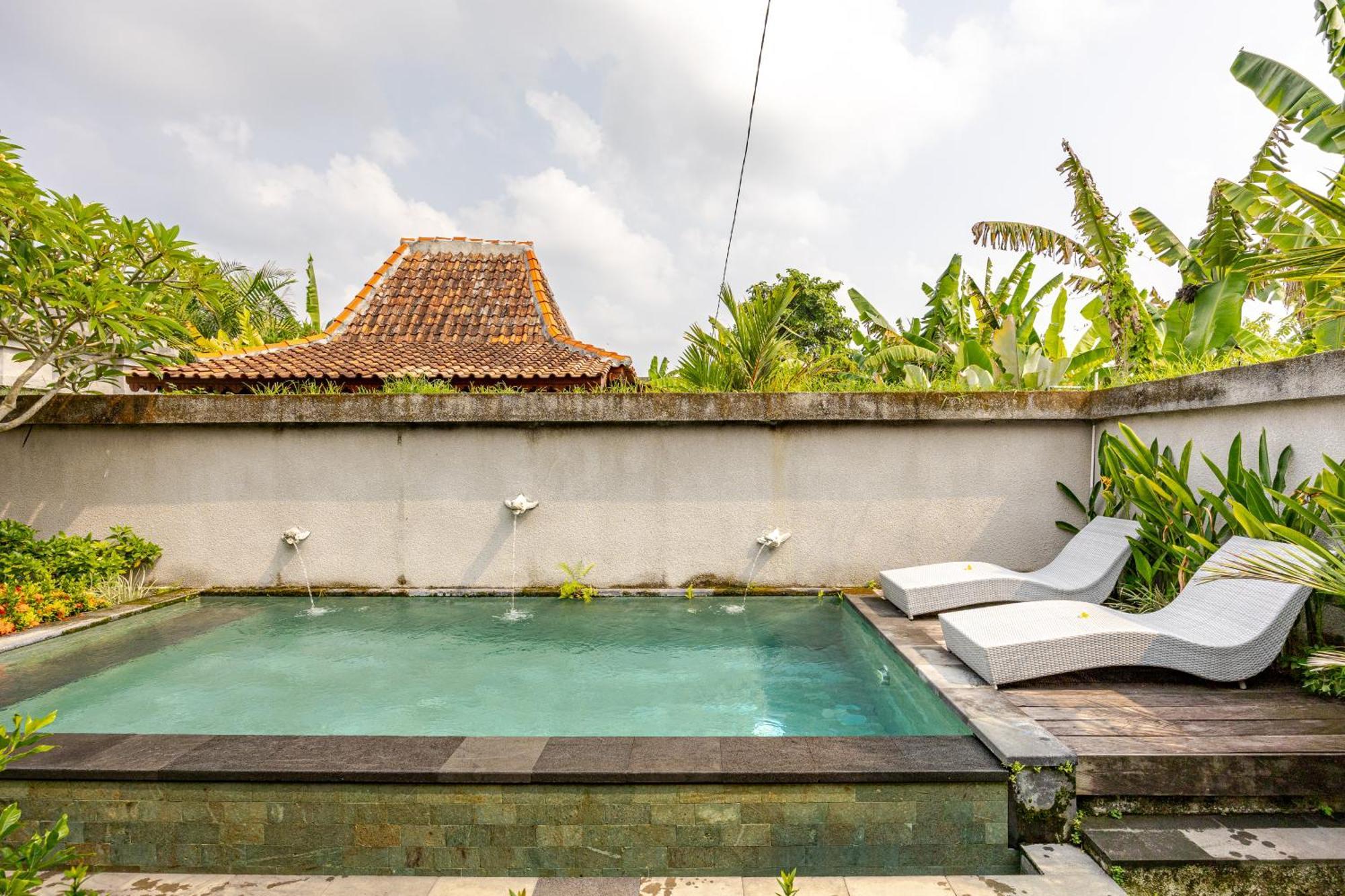 Pipi - Serenity Semi Wooden Private Pool In Ubud (Bali)