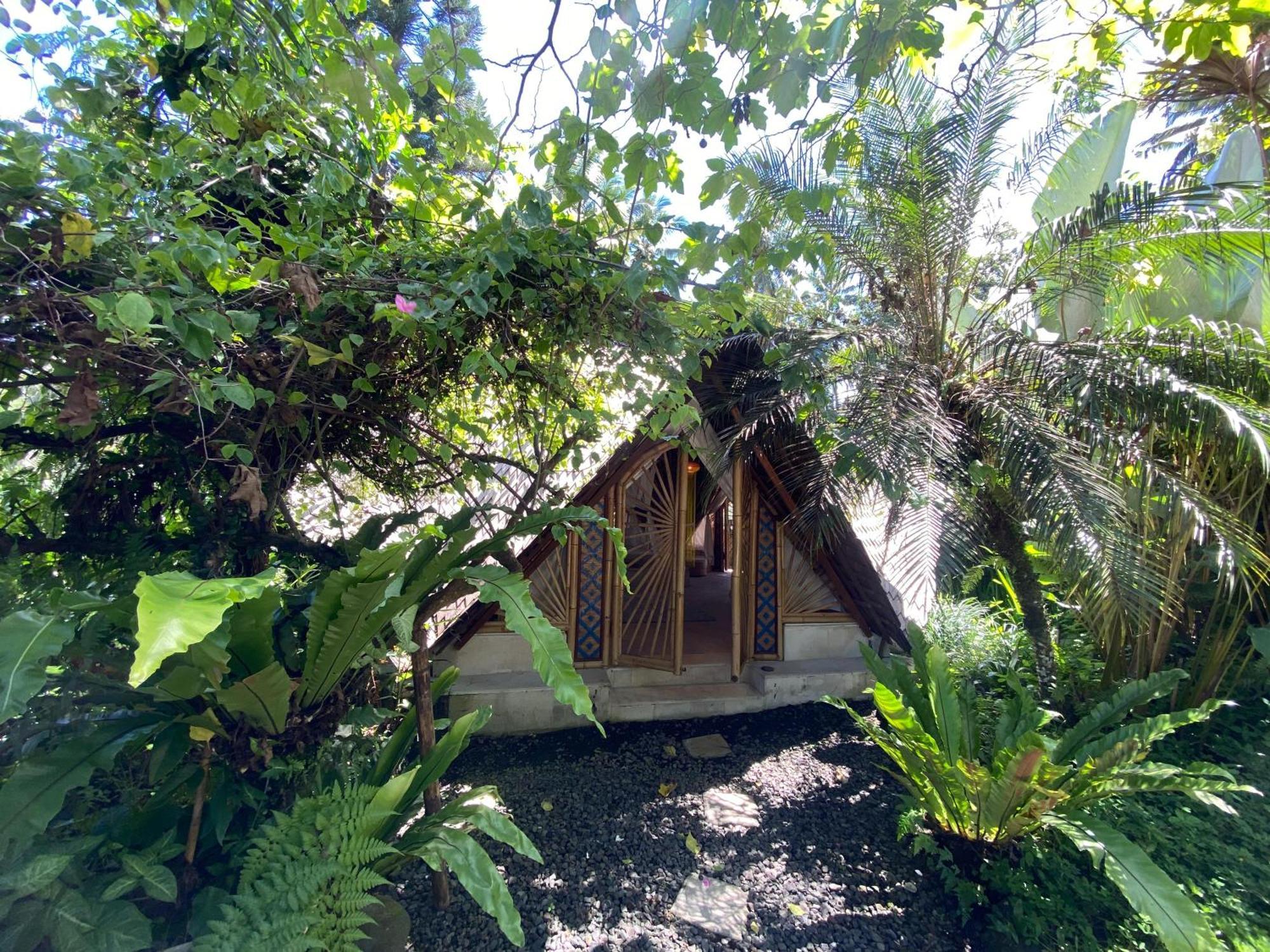 Akasha New Earth Haven Guest house *