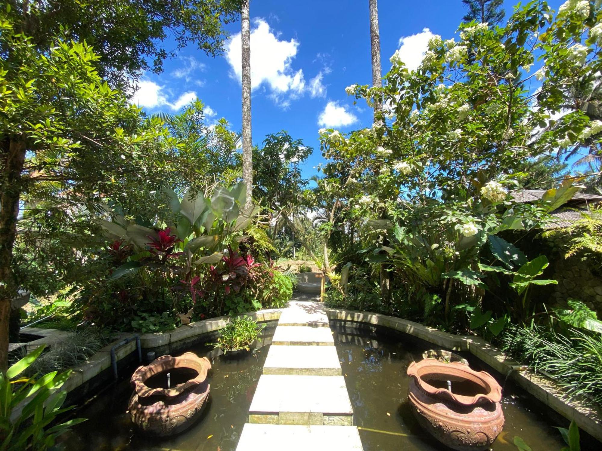 Akasha New Earth Haven * Ubud (Bali)