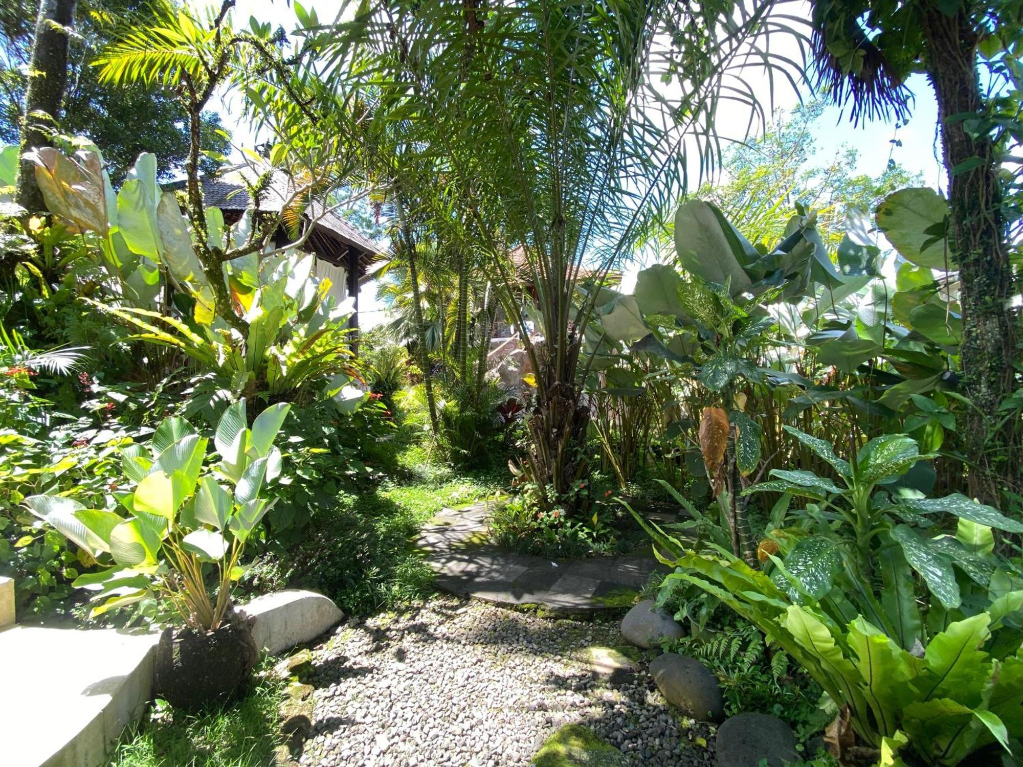 Akasha New Earth Haven Guest house Ubud (Bali)