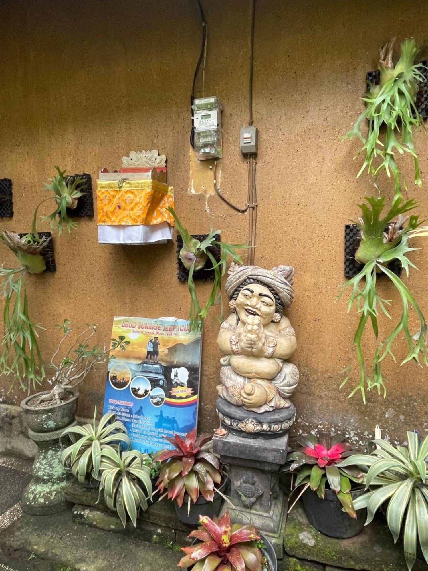 Suntari Homestay *