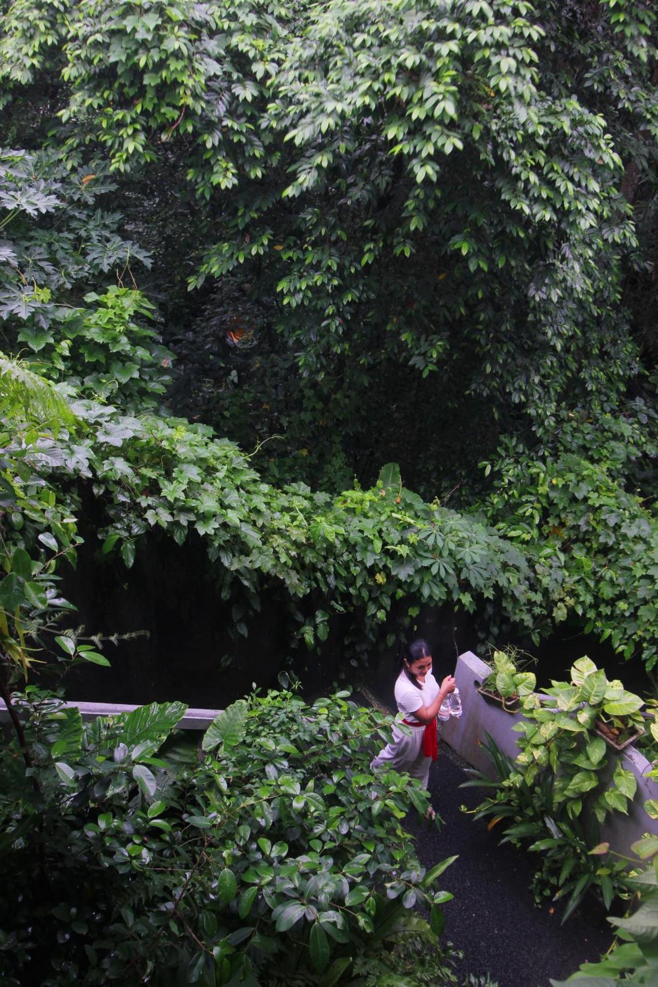 Sari Gong Guest House, A Trishula Collection Guest house Ubud (Bali)