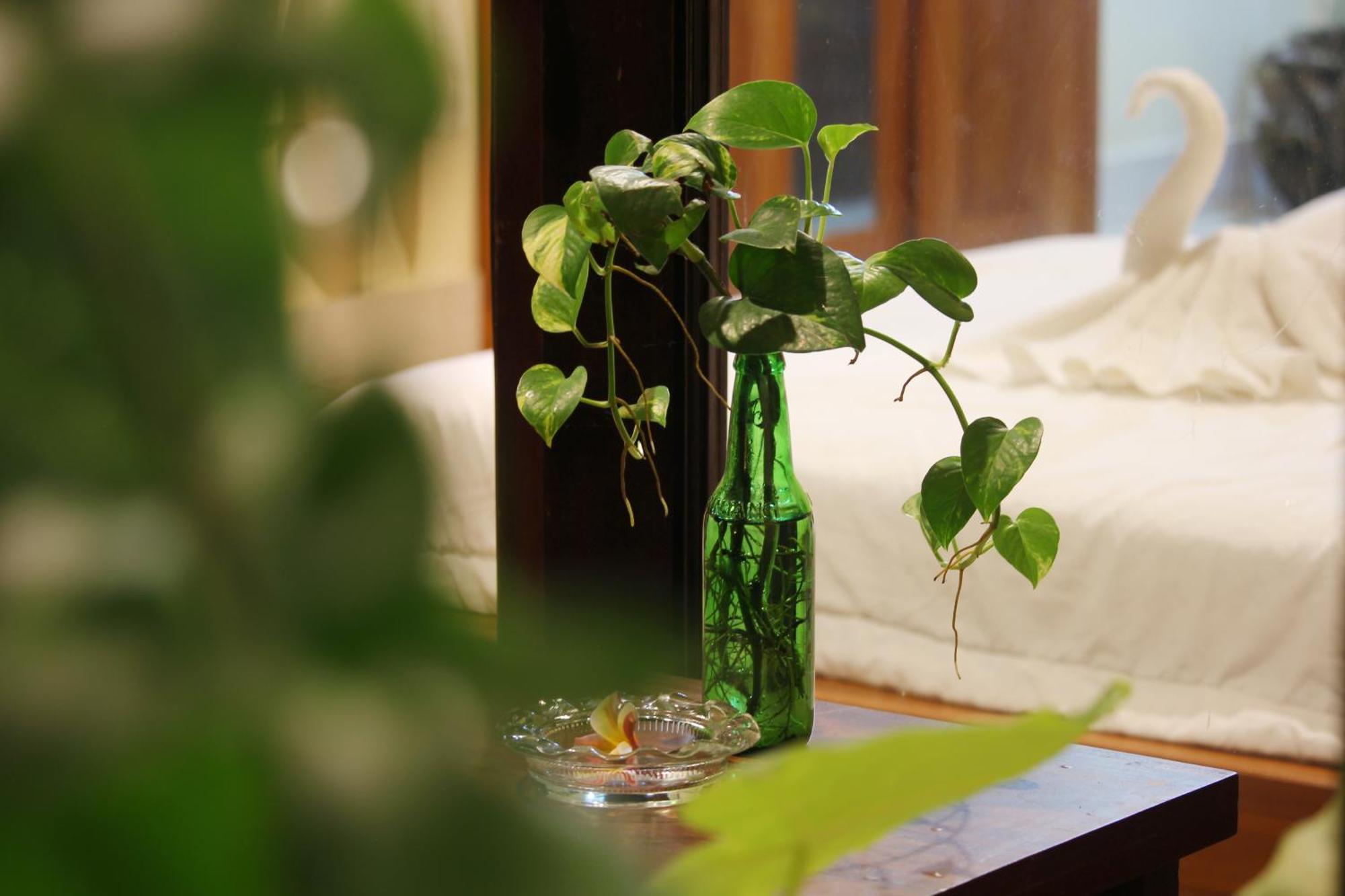 Sari Gong Guest House, A Trishula Collection Guest house *