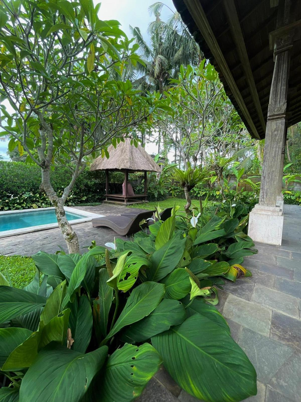 Villa Thani Ubud (Bali)