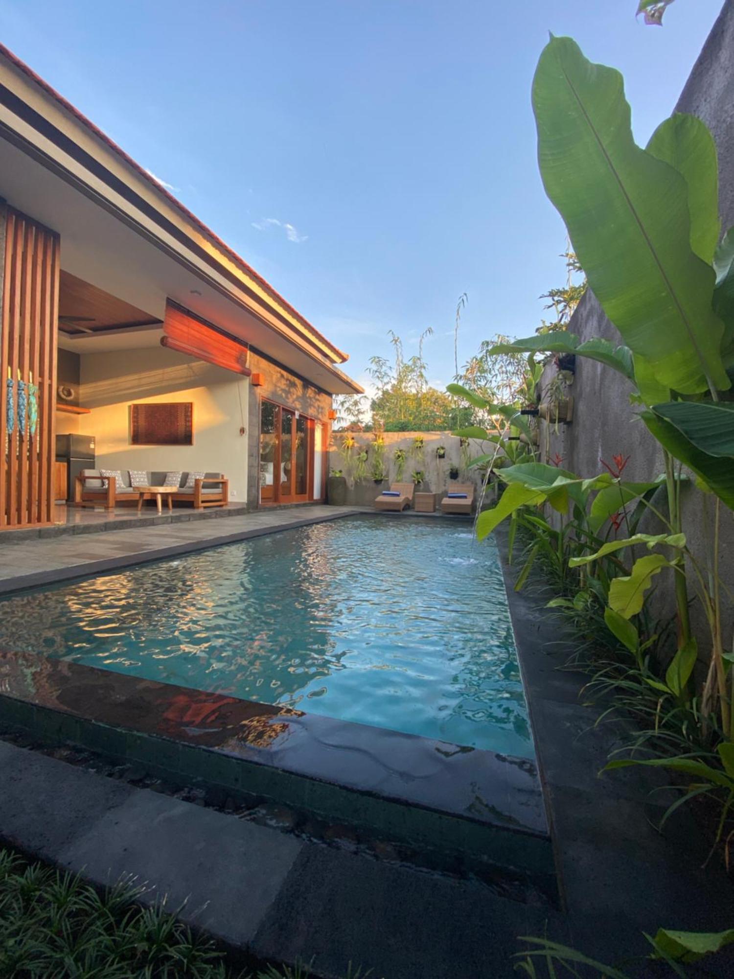 Livin House Villa *
