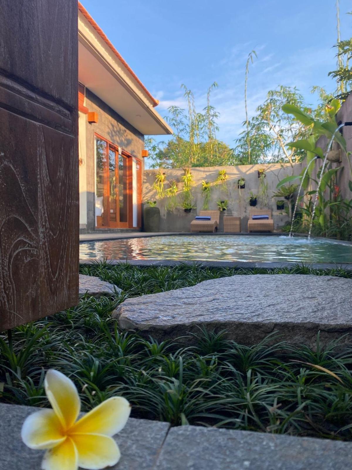Villa Livin House