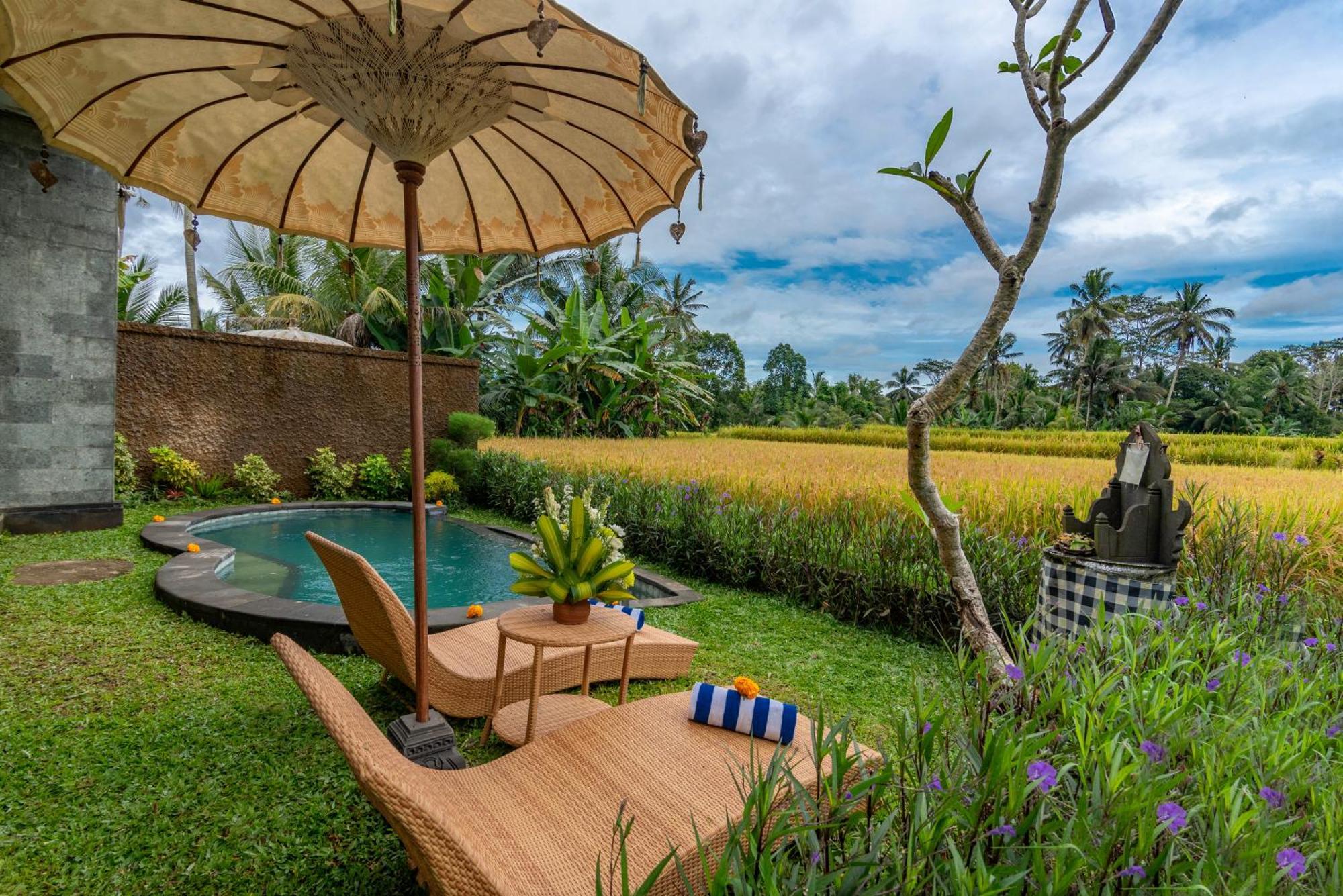 The Alus And Taman liburan