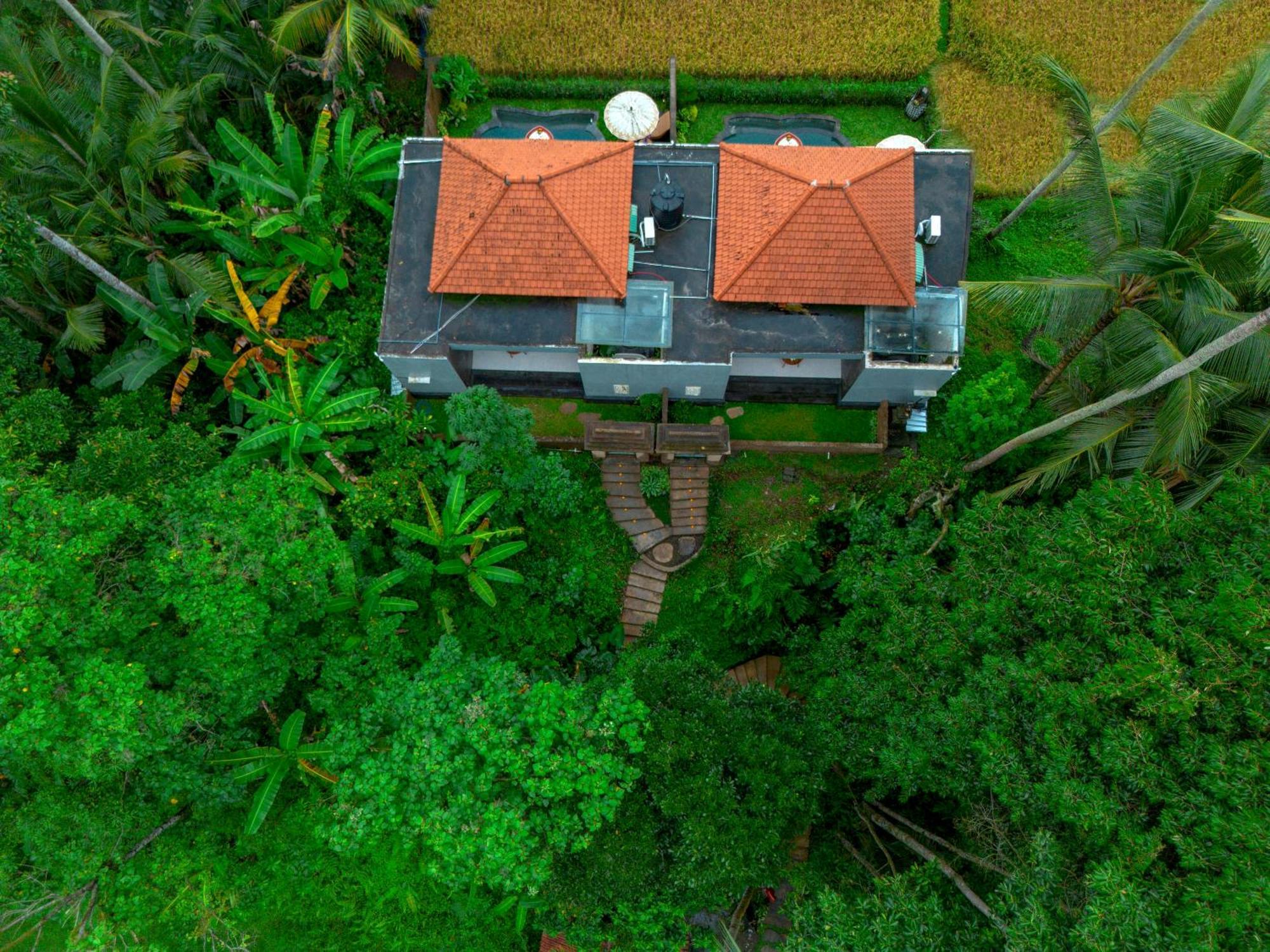 Taman liburan The Alus And 3*