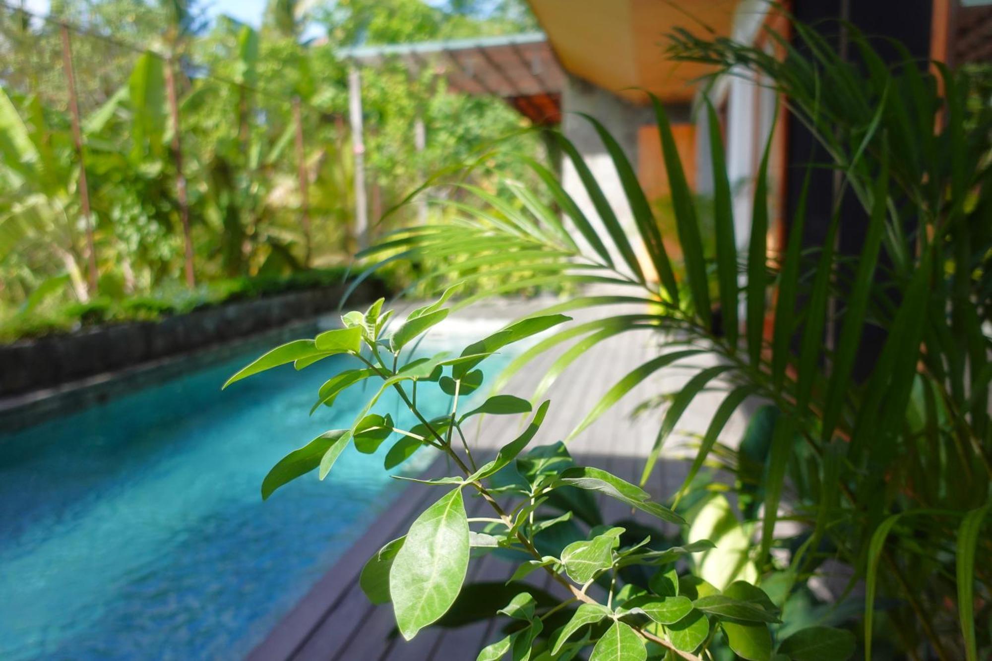 Hotel The Vinaya Boutique