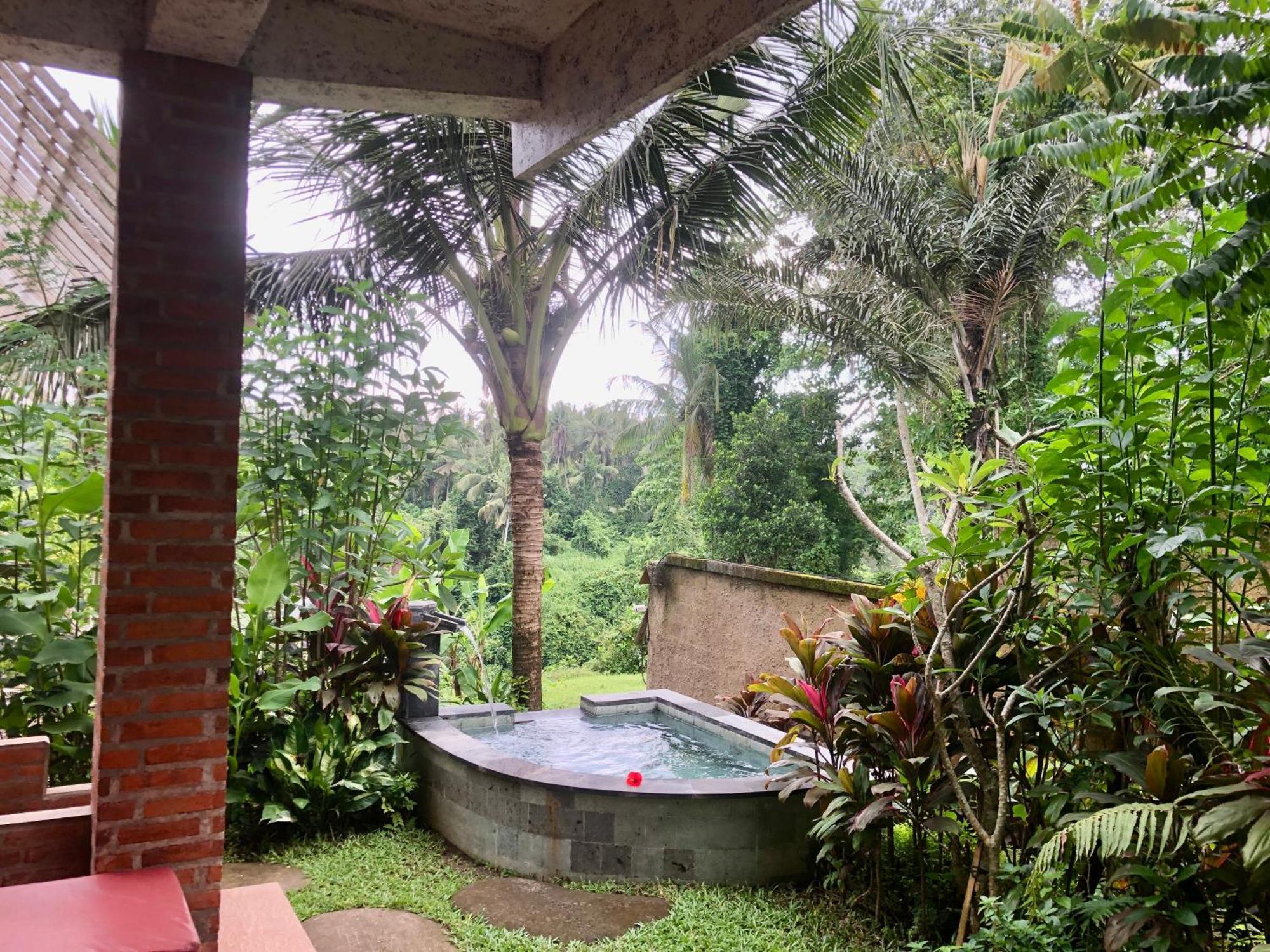 D'nanda 2* Ubud (Bali)