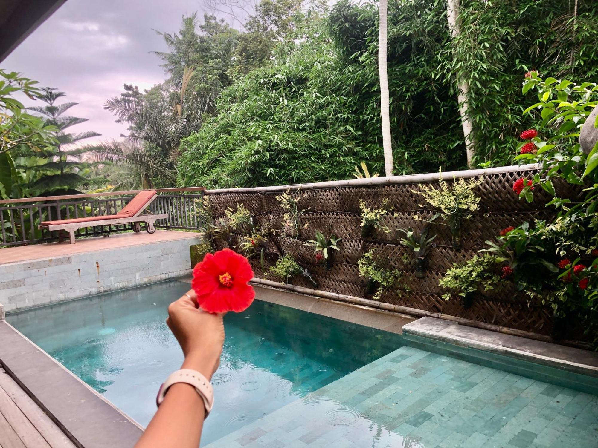 D'nanda Bed & Breakfast Ubud (Bali)