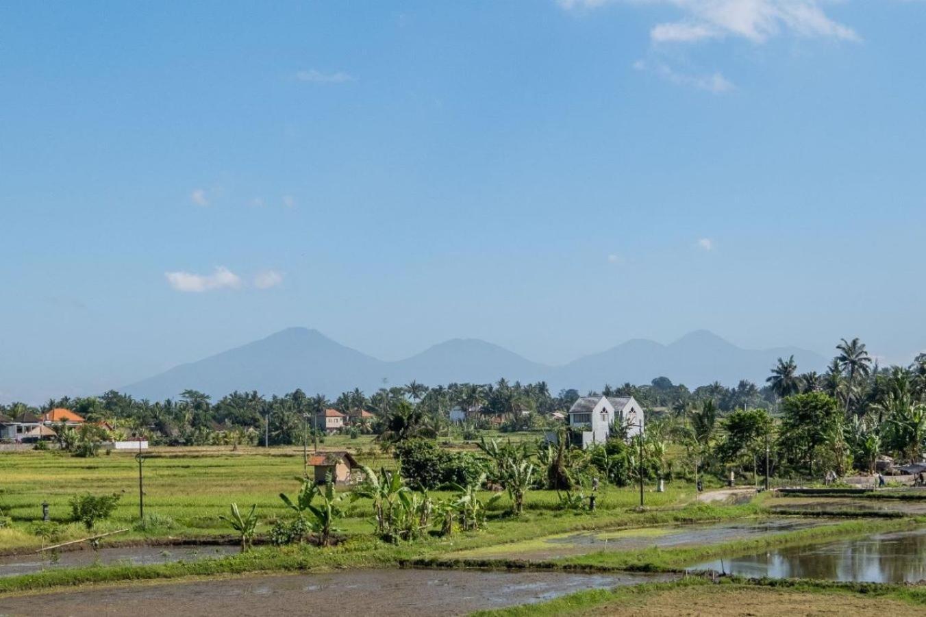Villa Cakra - 4 Bedroom Luxury With Infinity Pool And Paddy Field View Ubud (Bali)