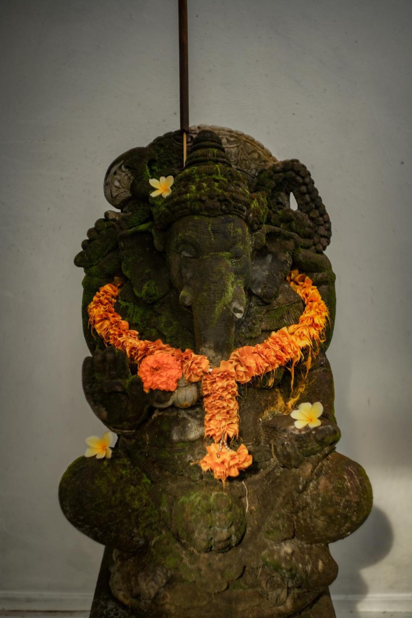 Tattva Retreat & Wellness Hotel