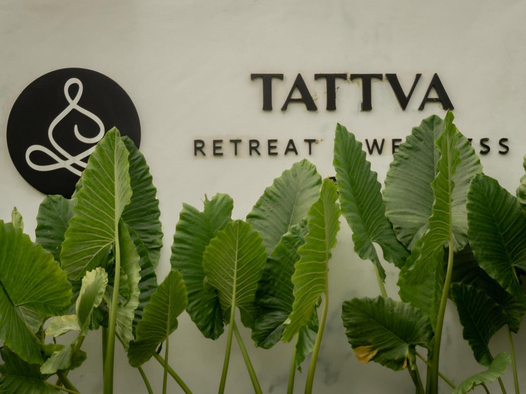 Tattva Retreat & Wellness Hotel 3*