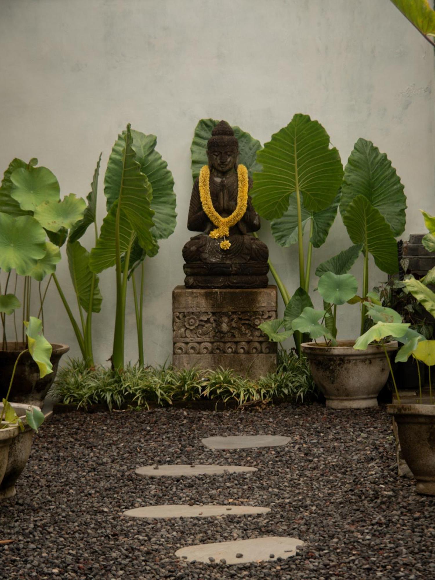 Tattva Retreat & Wellness 3*