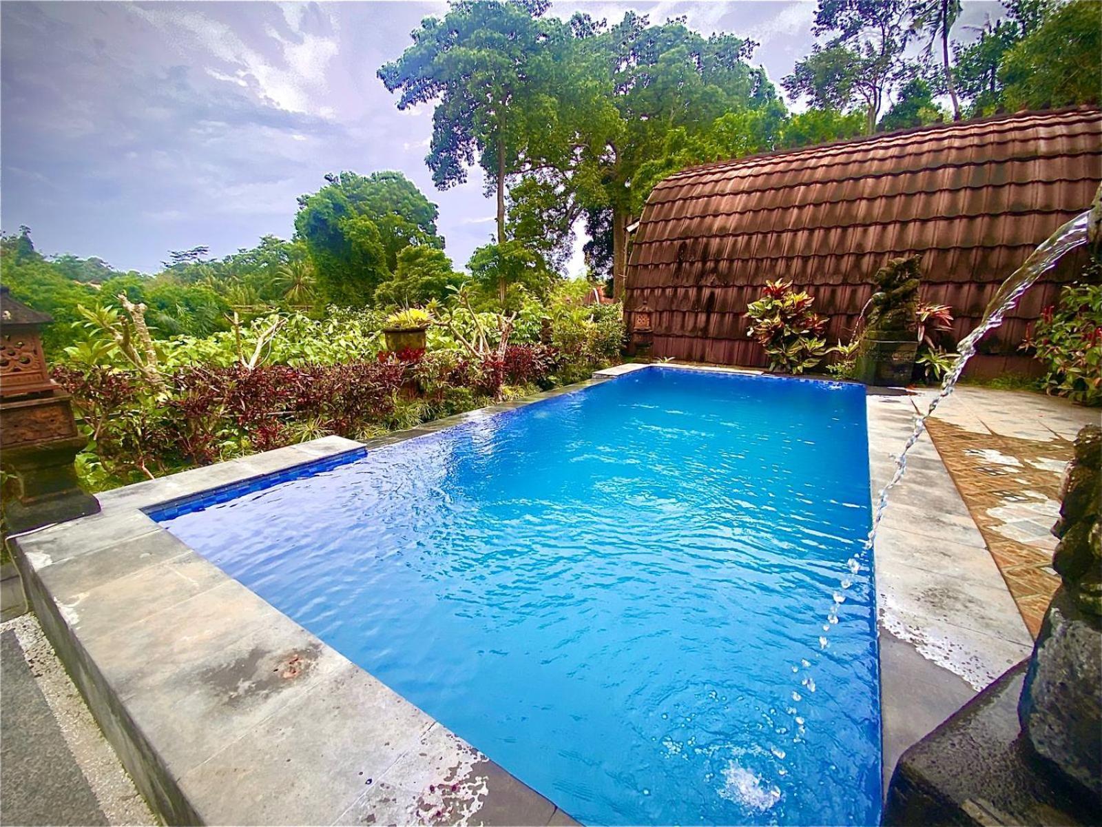 Villa Big Tree House