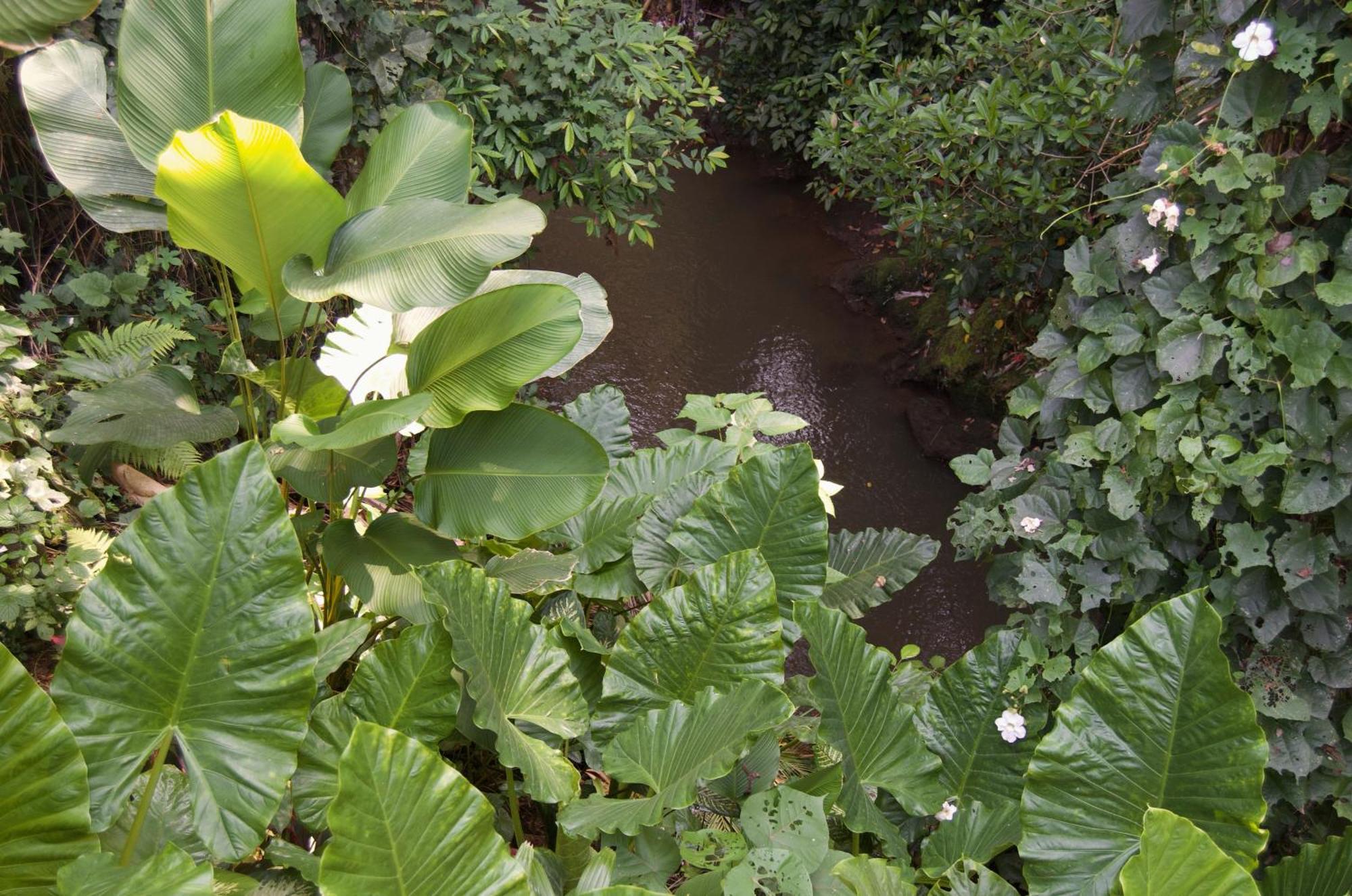 Origami House, Paradise In Ubud! Villa *