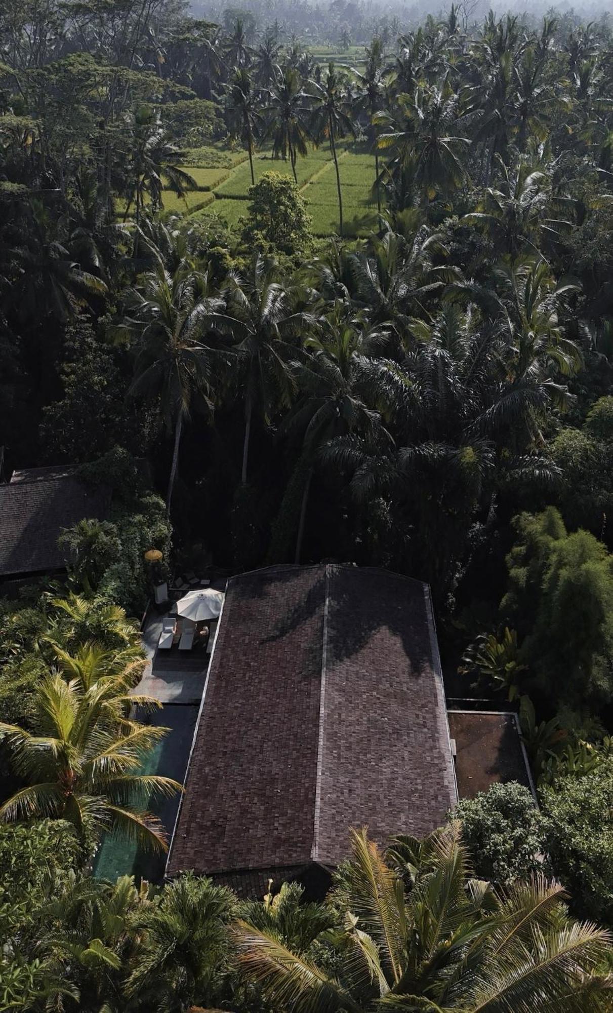 Origami House, Paradise In Ubud! Villa