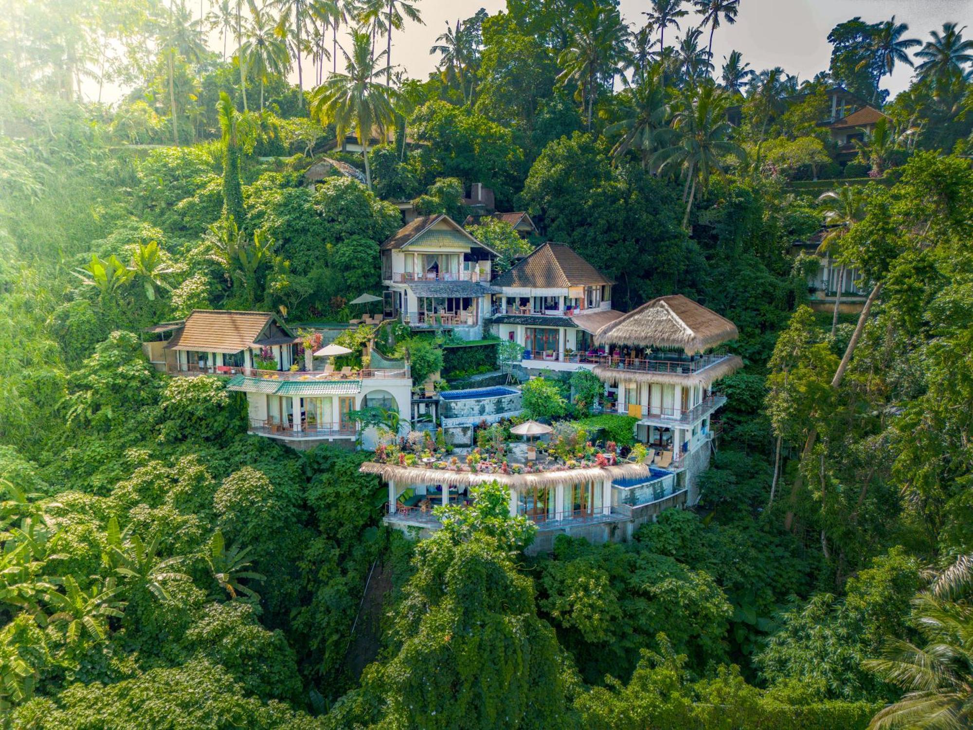 Villa Heaven View 2 Bedroom Sayan Ubud (Bali)