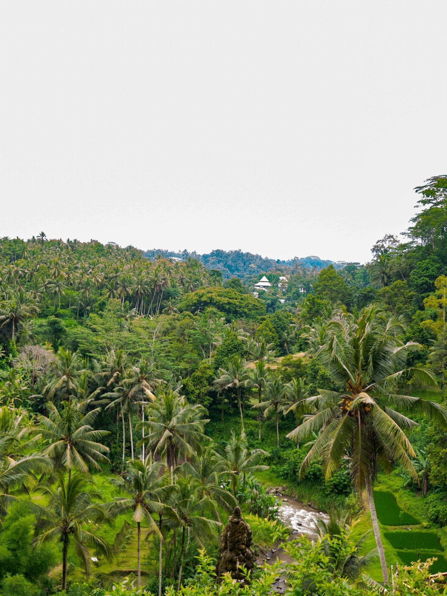 Villa Heaven View 2 Bedroom Sayan Ubud (Bali)
