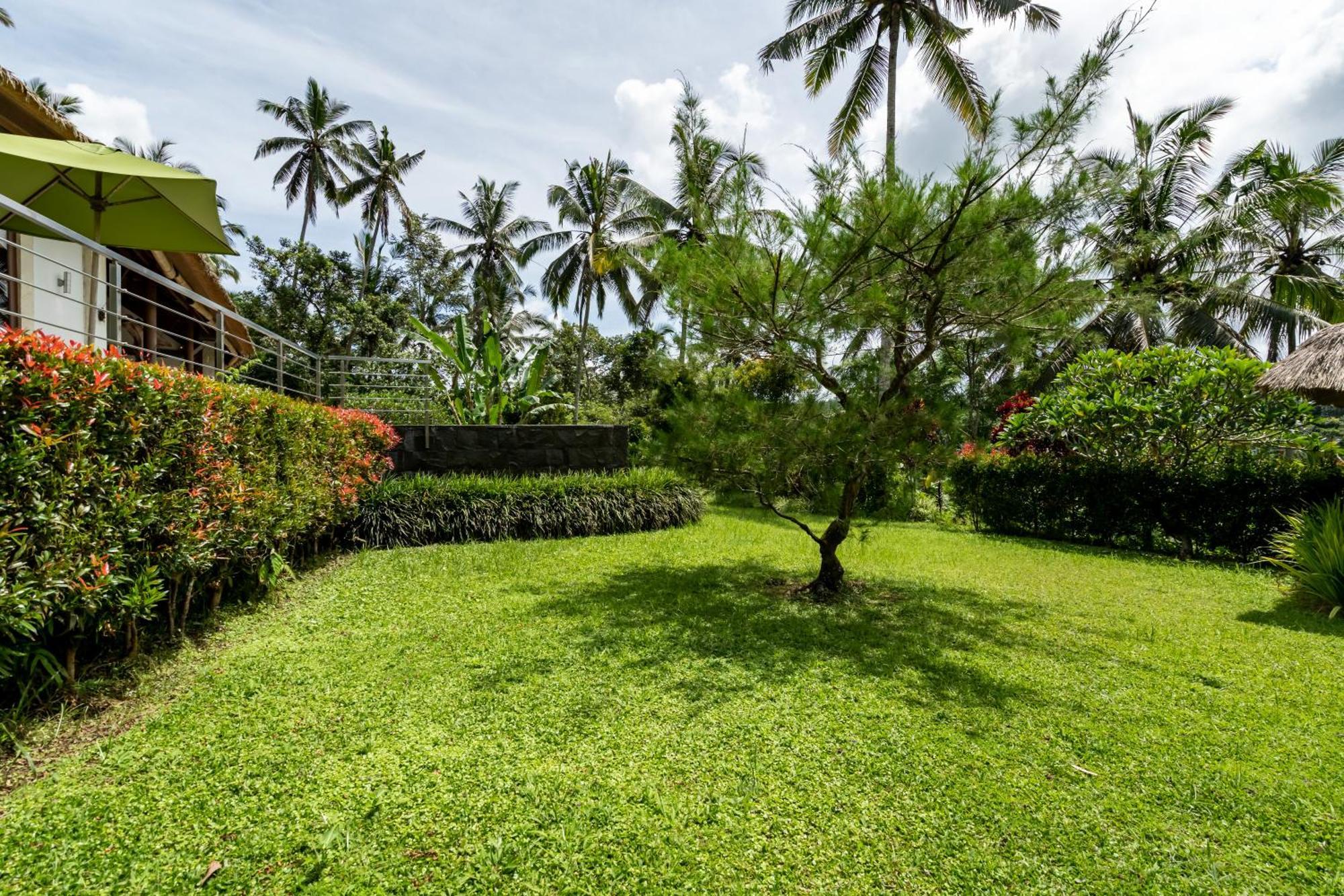 Themma Jungle - Sumptuous 3br Luxury With Majestic Jungle View North Of Villa