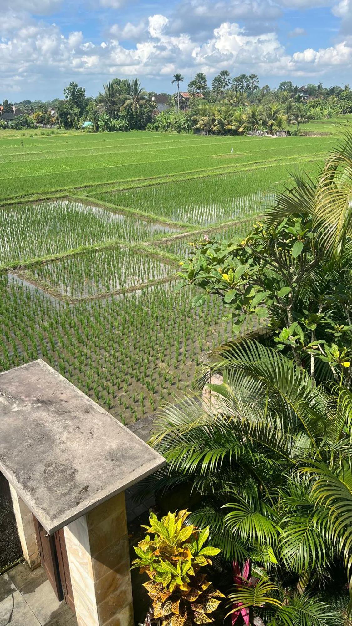 Heaven Villa Ubud
