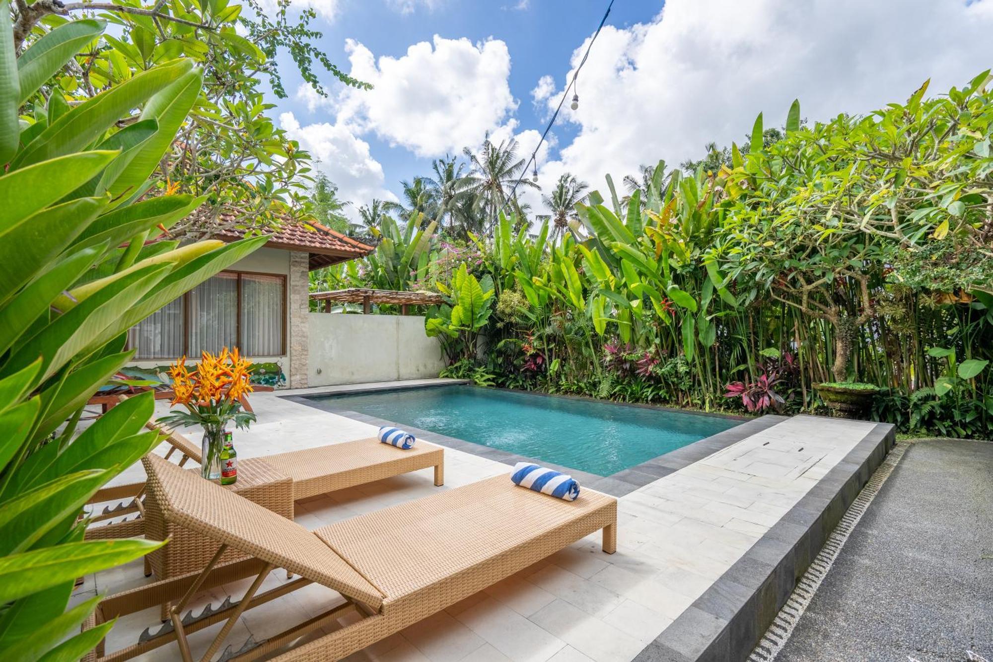 3 Beagle Gasthuis Ubud