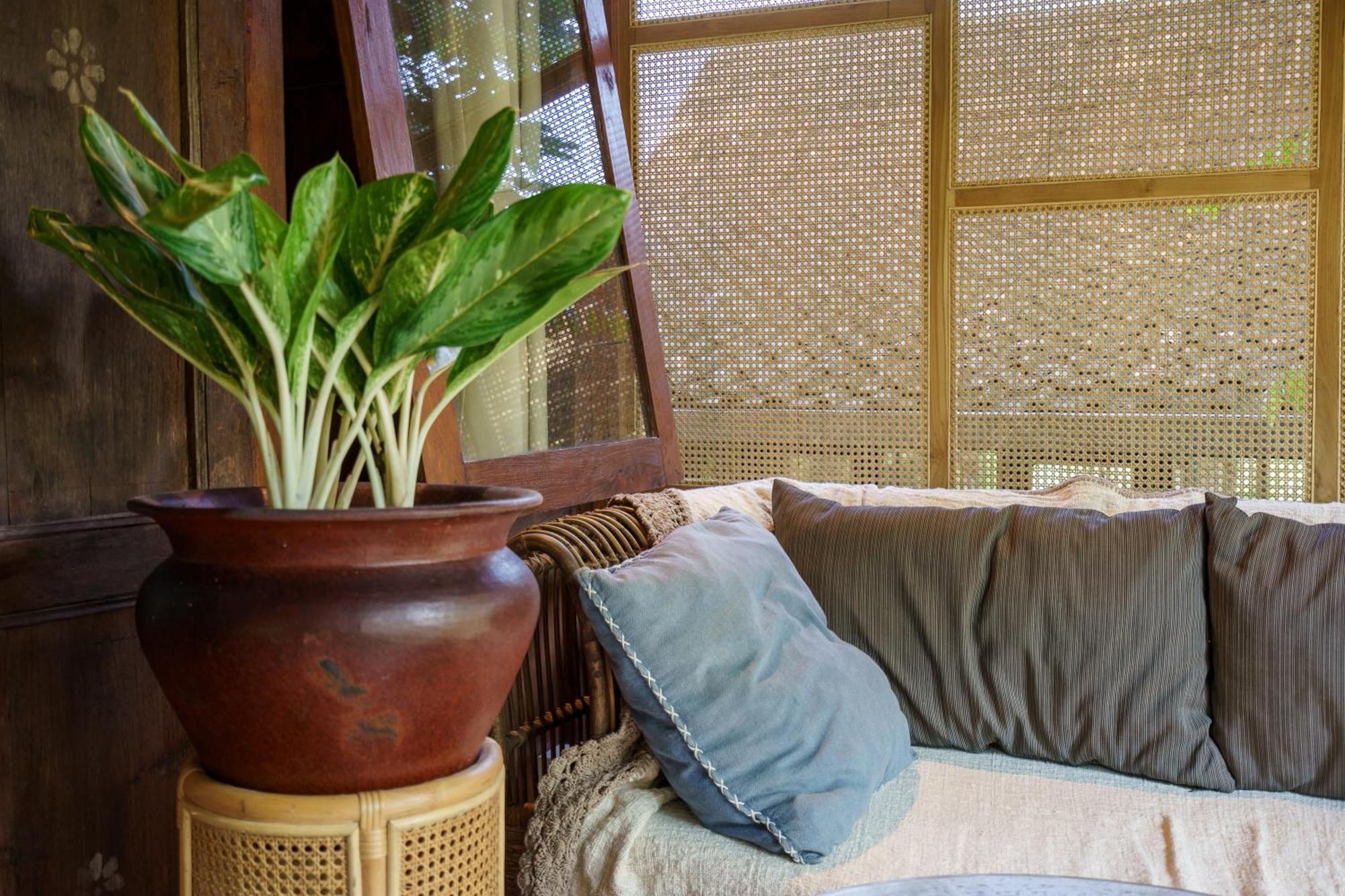 Tropical Traditional Indonesian Wooden - Beji Mas, Ubud (Bali)