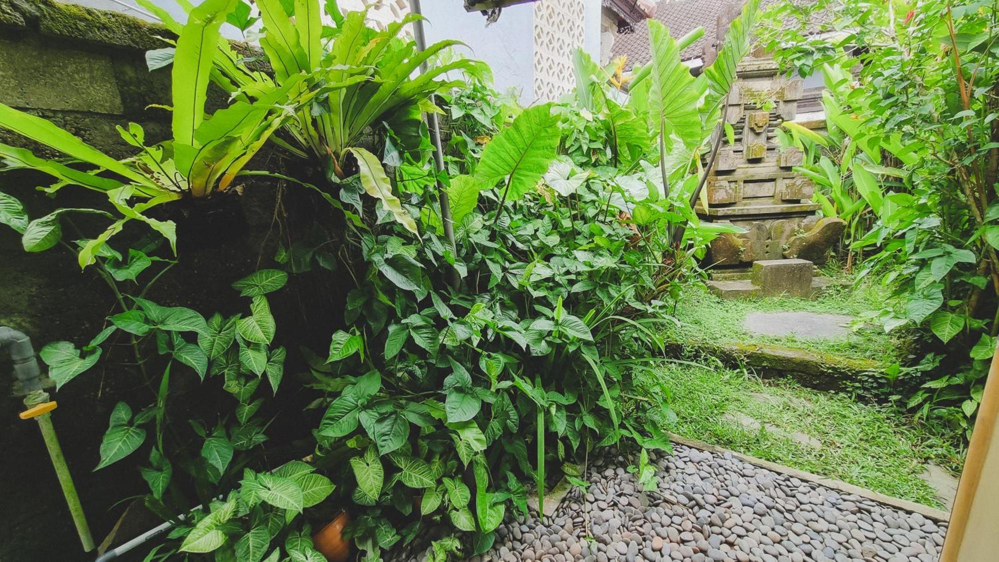 Aura Bed & Breakfast Ubud (Bali)