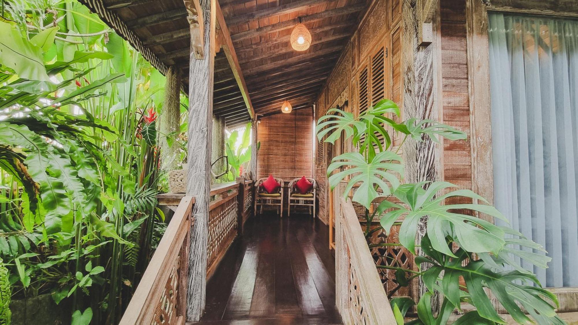 Aura Bed & Breakfast *