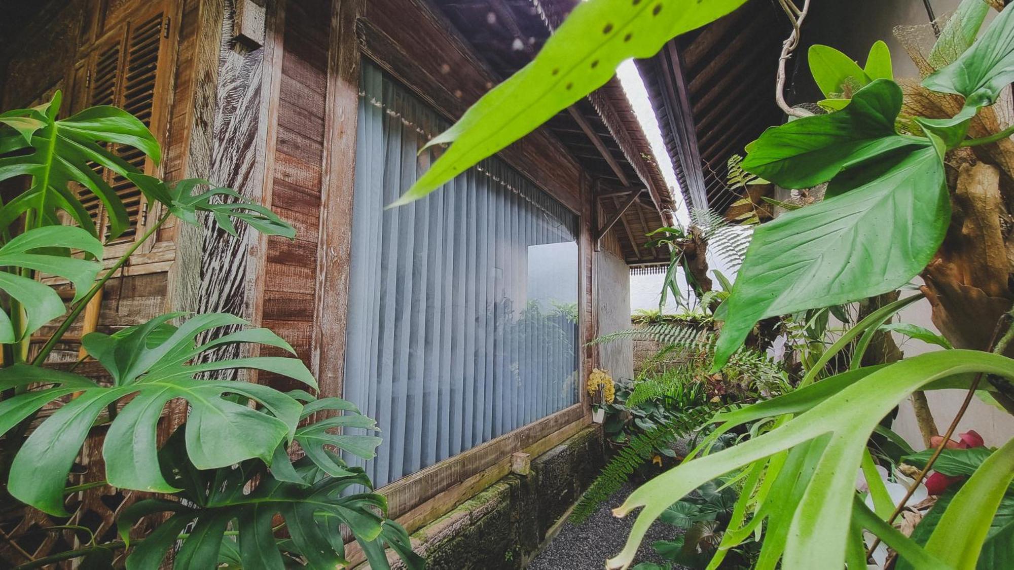 Aura * Ubud (Bali)