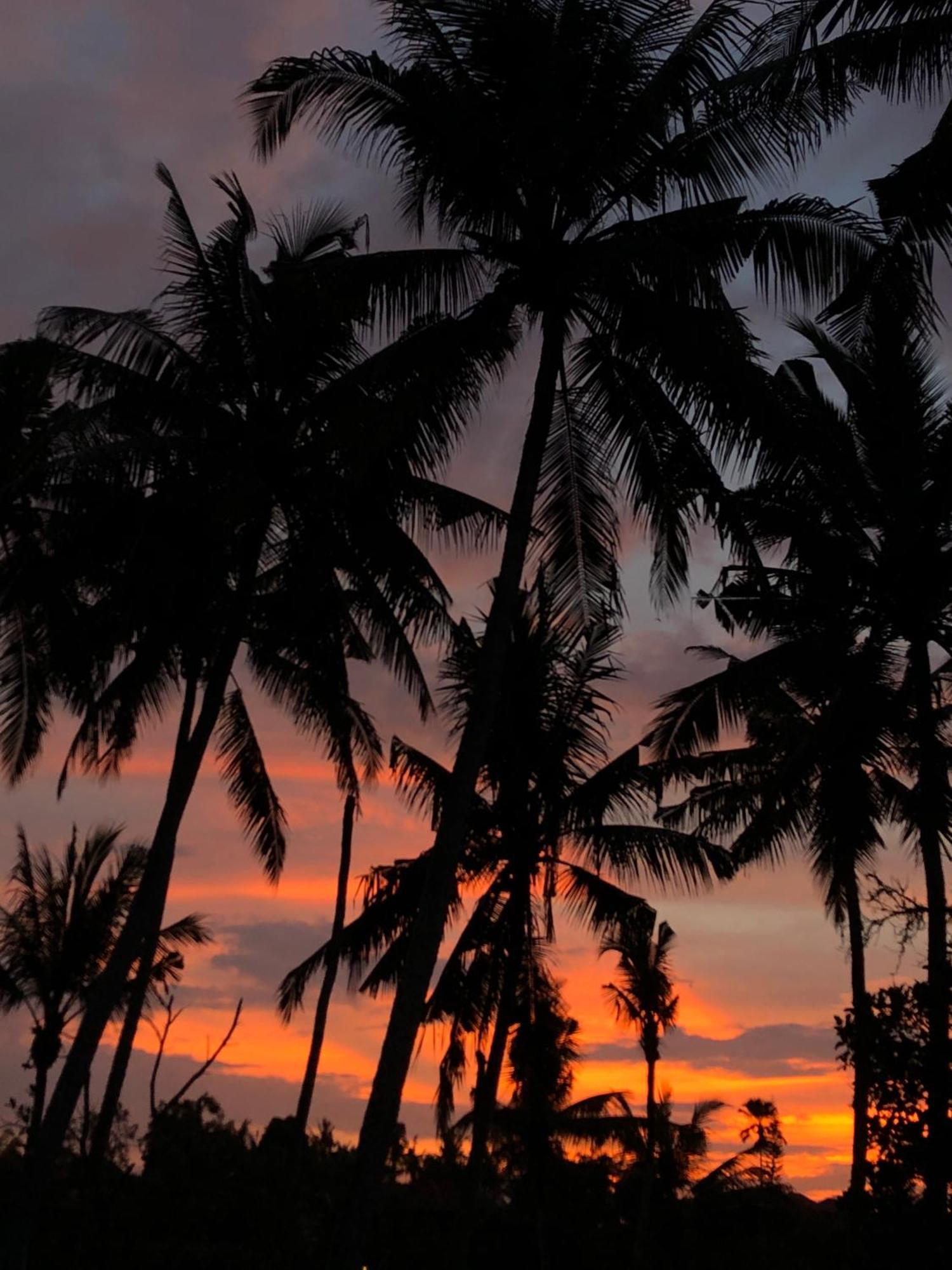 Tresna Bali Luxury Vila Ubud (Bali)