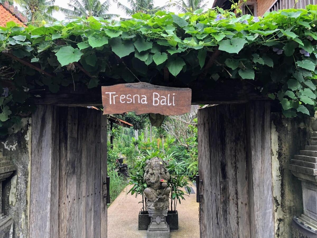 Tresna Bali Luxury