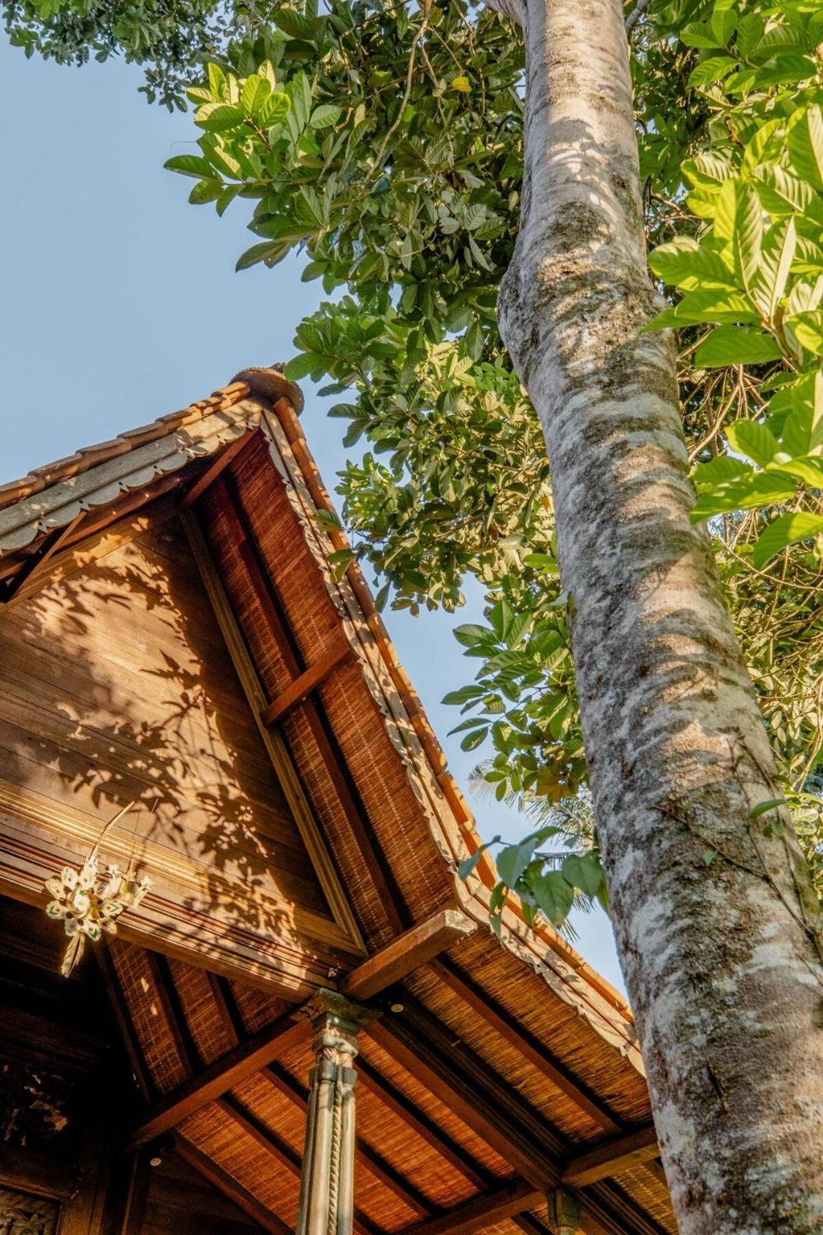 Vila Tresna Bali Luxury Ubud (Bali)