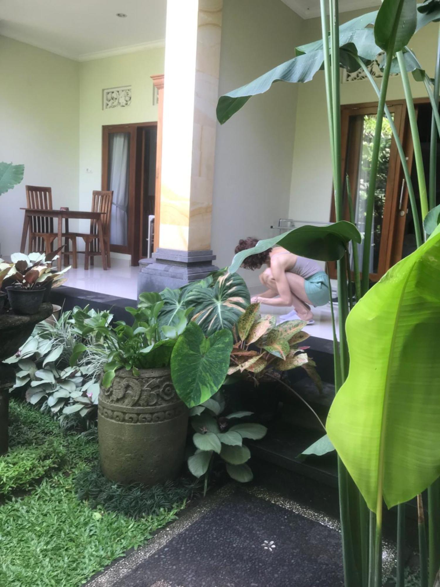 Gus Arditya Ubud (Bali)