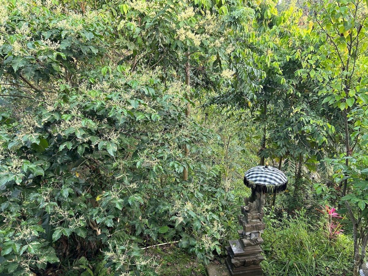 Tresna Bali Luxury