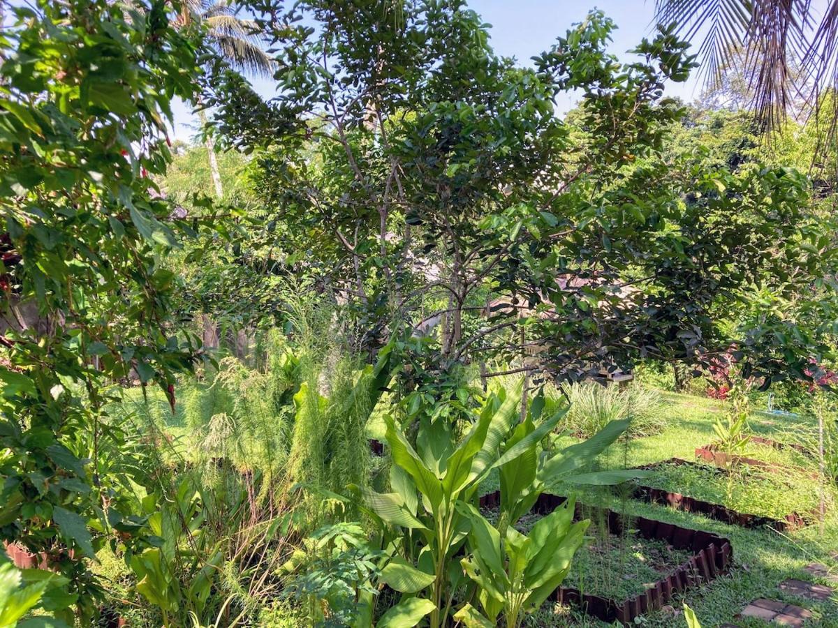 Tresna Bali Luxury