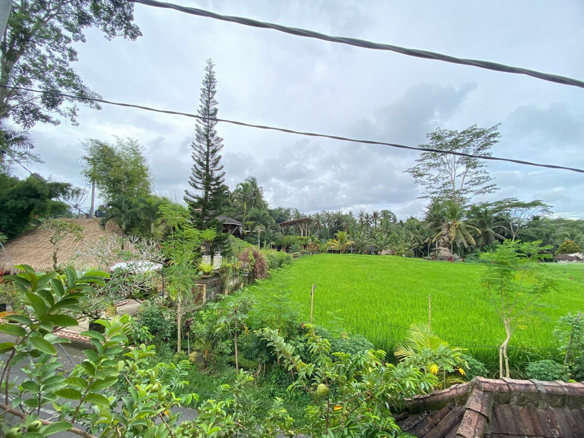 Akasha New Earth Haven * Ubud (Bali)