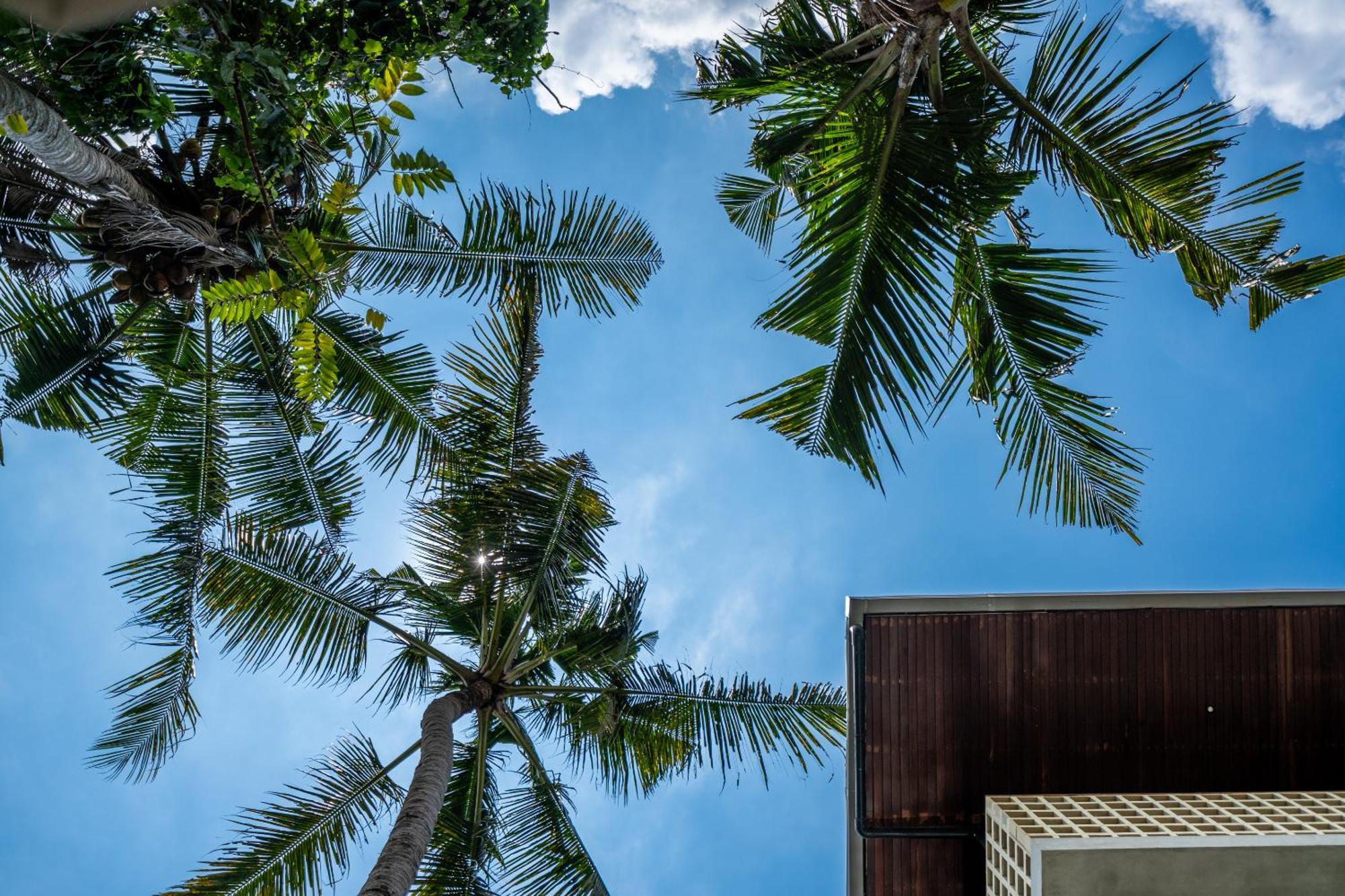 Work, And Unwind! Jungle Vista By Bcg