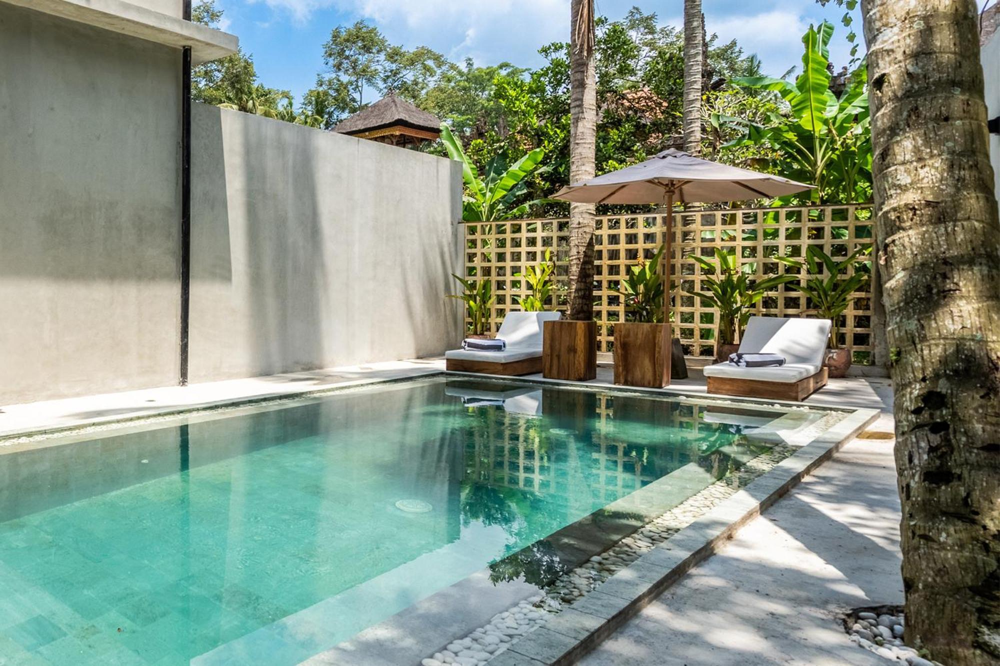 Work, And Unwind! Jungle Vista By Bcg Apartment Ubud