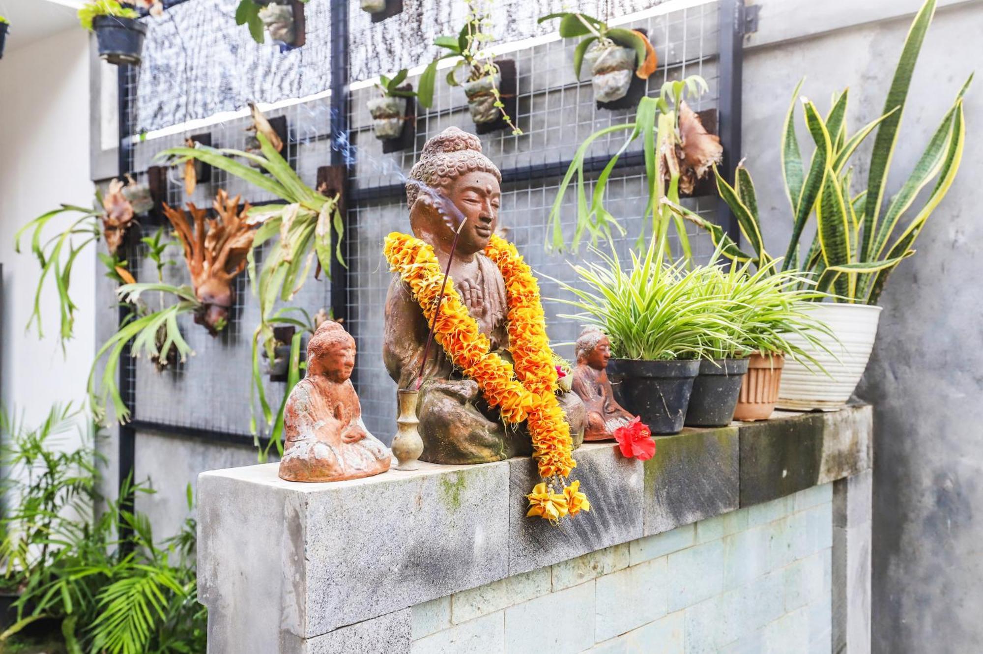 Pousada Serenita - Just Built, Balinese Vibe