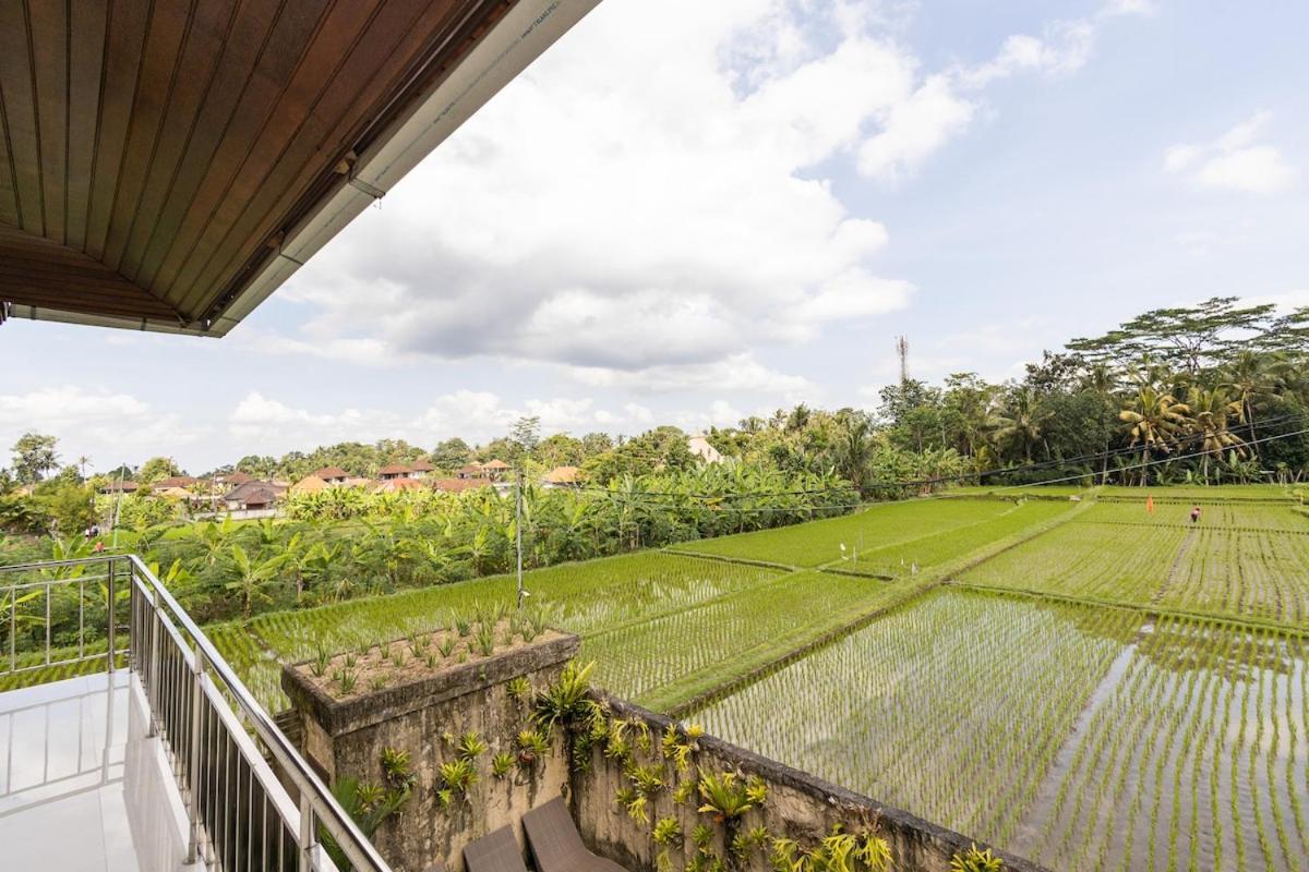 Ulun Desa #beautiful In Ricefield Area *