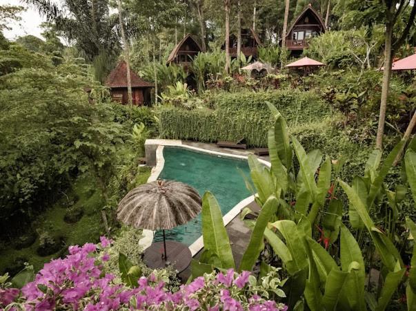 The Jungle
