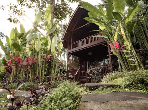 The Jungle Villa