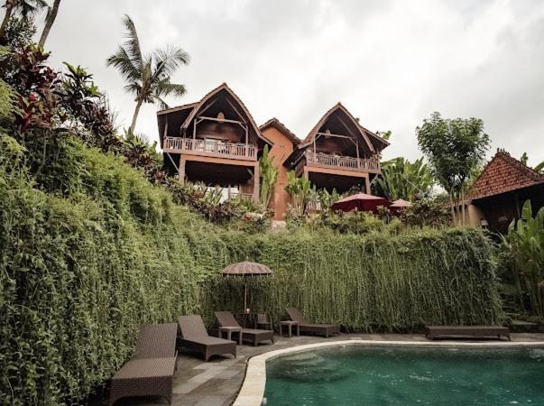 Villa The Jungle